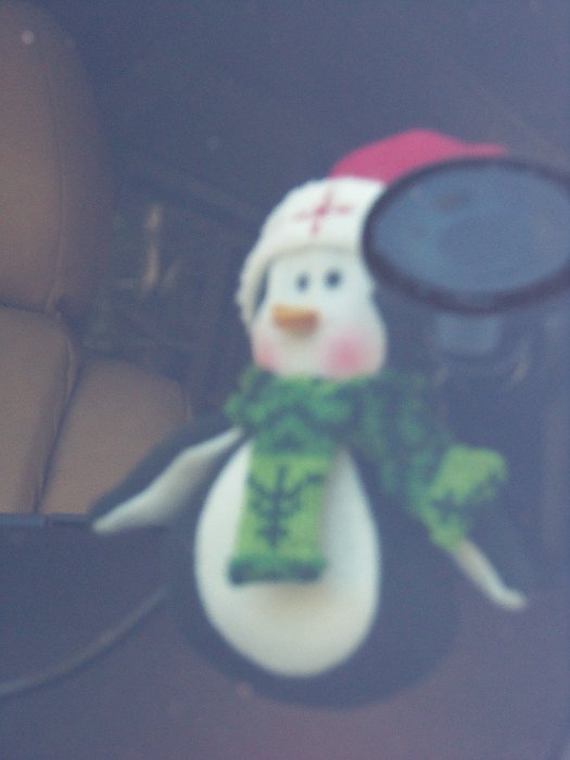 13-our camper Christmas decoration.jpg